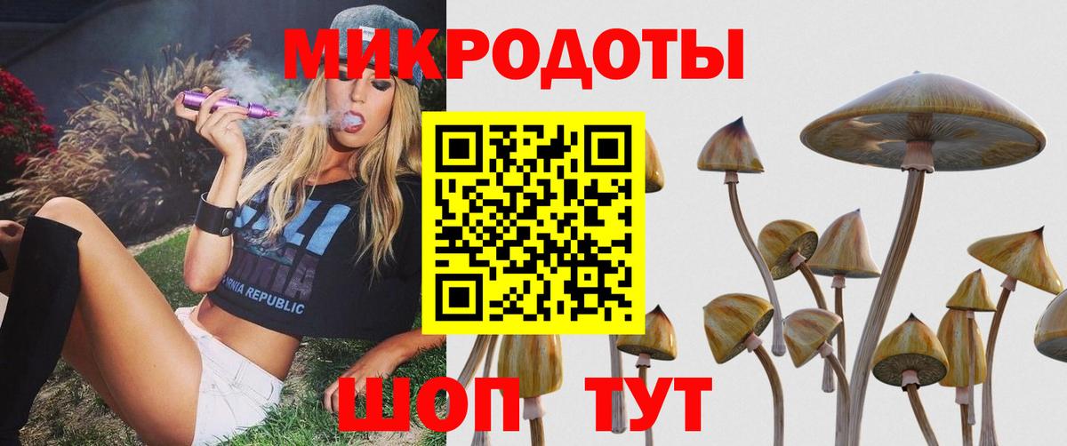 Псилоцибиновые грибы GOLDEN TEACHER  Галлюциногенные грибы GOLDEN TEACHER  Вход с VPN  Тында 