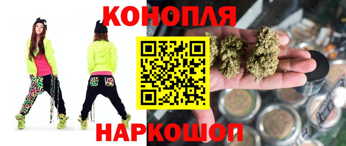Бошки Шишки семена Тында