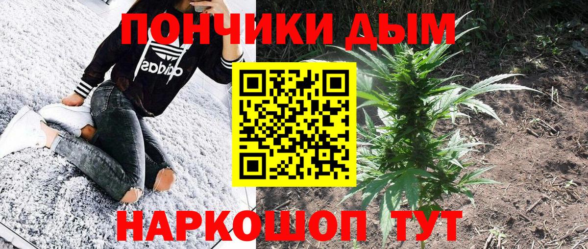 Шишки марихуана семена  Бошки Шишки Ganja  Тында  Вход с VPN 